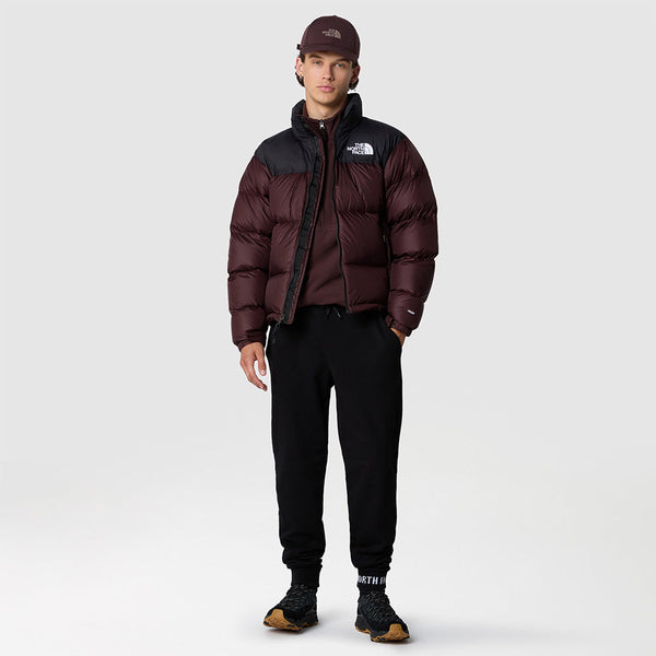 THE NORTH FACE MEN'S 1996 RETRO NUPTSE JACKET