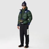 THE NORTH FACE MEN'S 1996 RETRO NUPTSE JACKET