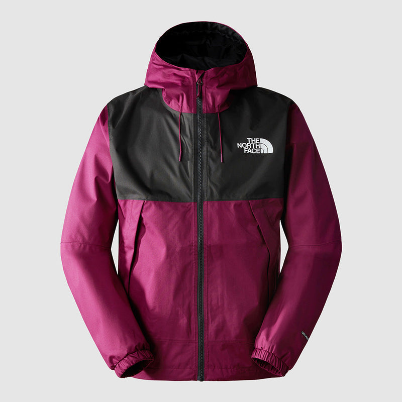THE NORTH FACE MEN'S NEW MOUNTAIN Q JACKET